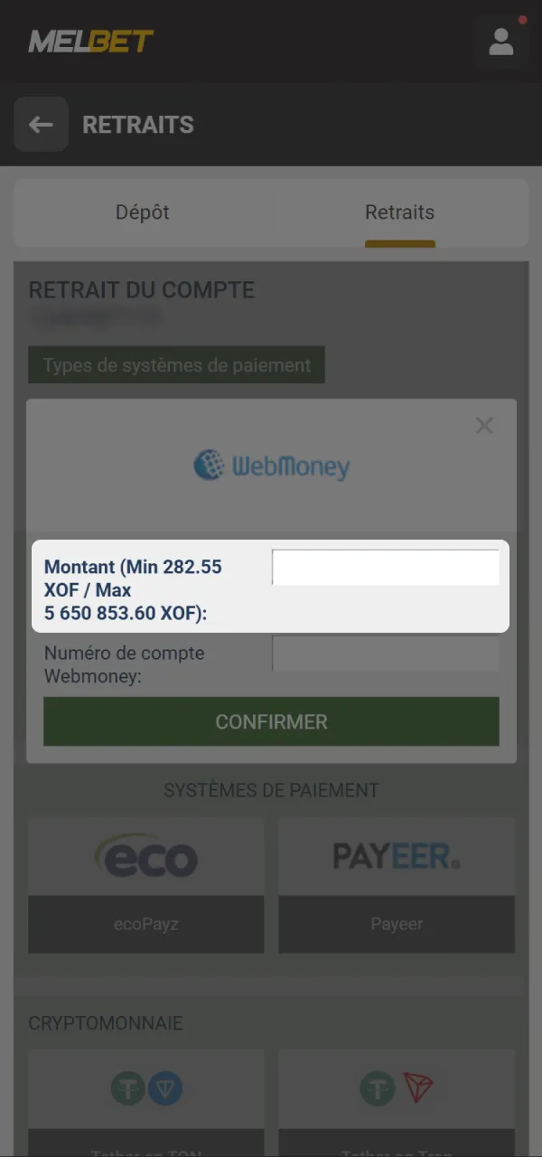Saisissez le montant de retrait souhaité sur la plateforme Melbet.